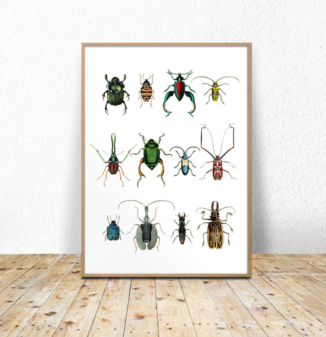 Beetles Chart Printable beetles Printable Insect Print | Etsy