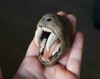 SaberTooth Tiger Mouth Fridge Magnet Handmade Sculpture