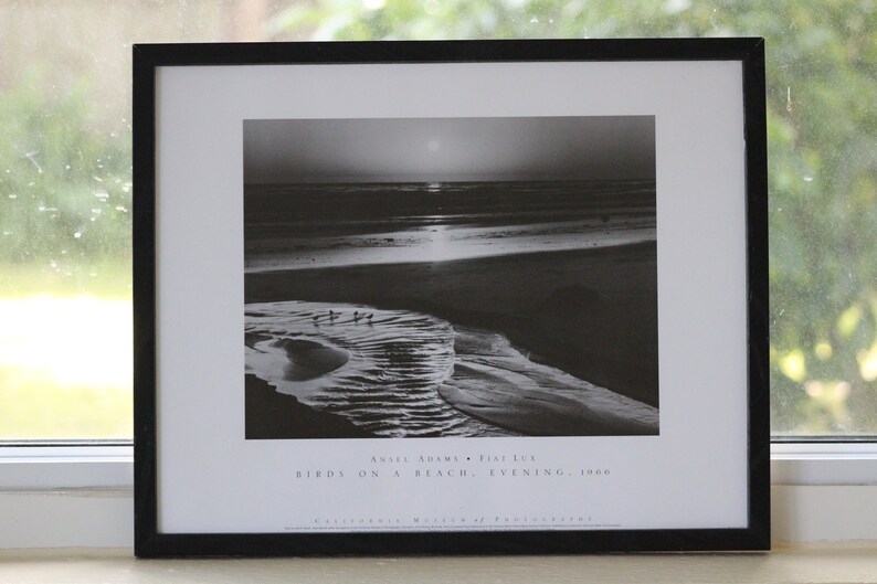 Framed Photo Print Fiat Lux Birds On A Beach by Ansel