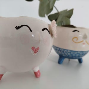 Può includere: Due vasi in ceramica bianca con volti e gambe dipinti. Un vaso ha un cuore rosa e una farfalla sul viso. L'altro vaso ha un baffo giallo. Entrambi i vasi hanno accenti blu.