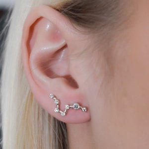 Leo earrings - perfect Bridesmaid Gifts - Christmas gift - Birthday Gift for Her - star sign jewelry