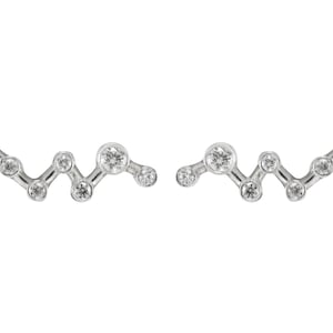 Steenbok oorbellen ~ Steenbok sterrenbeeld oorbellen ~ Steenbok Zodiac sieraden ~
