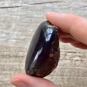 May include: A dark amber stone with a smooth, polished surface. The stone has a deep, rich color and a slightly translucent quality.