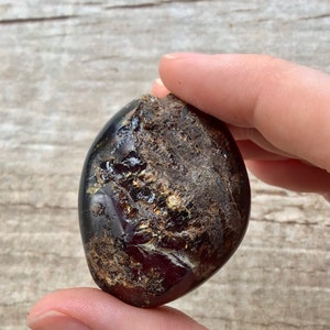 May include: A dark red, brown, and gold amber stone with a rough, natural texture. The stone is oval-shaped and has a smooth, polished surface.