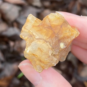 Carnelian Agate Rough, Washington State
