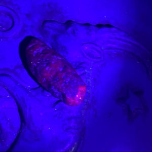 May include: A set of three ceramic mugs with a speckled, matte finish. The mugs are in shades of cream, light gray, and dark gray. Each mug has a simple, minimalist design, perfect for coffee or tea.