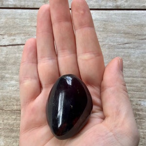 May include: A smooth, dark brown, polished gemstone in the shape of an oval. The stone is being held in a person's hand.