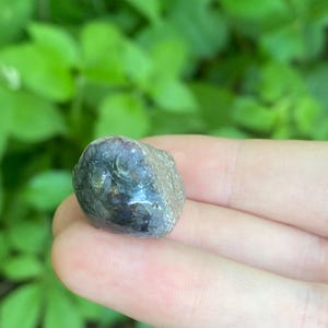 May include: A small, rounded, dark-colored stone with a smooth, polished surface. The stone has a mix of dark blue, gray, and brown hues. The stone is held in a hand against a backdrop of green foliage.