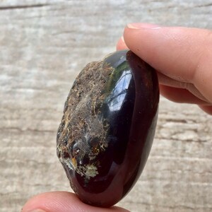 May include: A dark red, oval-shaped piece of amber with a rough, textured surface. The amber has a glossy finish and appears to have some inclusions.