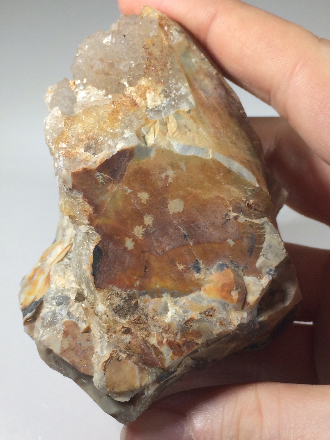 Large Ohio Flint Specimen Flint Ridge Ohio Flint Rainbow Etsy