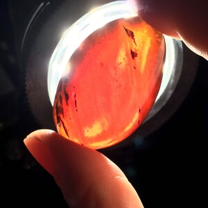 May include: A smooth, oval-shaped, red gemstone with dark brown streaks and swirls. The gemstone is being held between two fingers.
