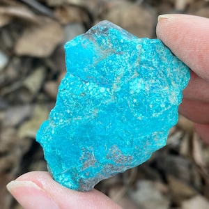 Quantum Quattro Rough Specimen Shattuckite, diopside, malachite, chrysocholla, Quartz, cuprite | Namibia 13 grams