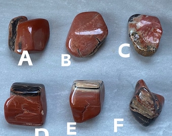 Red and Black PETRIFIED WOOD Tumble Your Choice