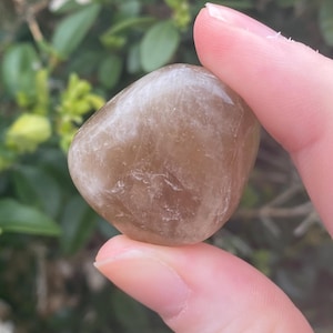 May include: A smooth, polished, light brown crystal stone held between two fingers. The stone has a rounded shape and a translucent quality, with subtle internal patterns. The background is blurred green foliage.