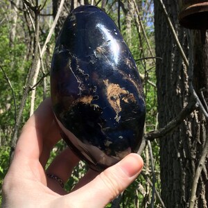 May include: A smooth, black and iridescent egg-shaped stone with brown and white markings. The stone is being held in a hand.