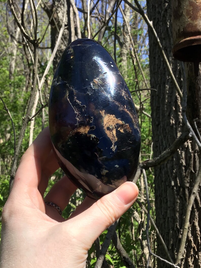 May include: A smooth, black and iridescent egg-shaped stone with brown and white markings. The stone is being held in a hand.