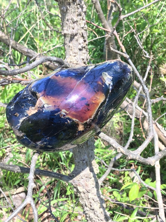 INDONESIAN AMBER, Half Polished, Zebra Amber, Red Amber, Sumatra Amber, UV Reactive, Fluorescent Specimen, Tree Resin Fossil, Sacral Chakra