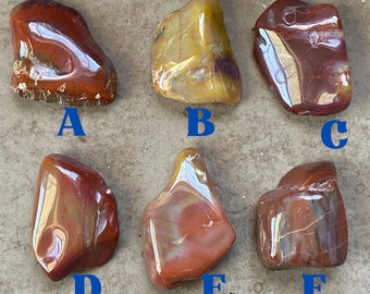 Red or Yellow PETRIFIED WOOD Tumble Your Choice