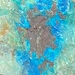 Fern