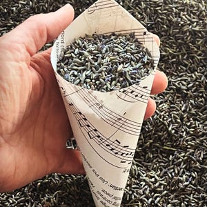 Bulk Dried French Lavender Buds: Highly Scented, Wedding Toss, Crafts