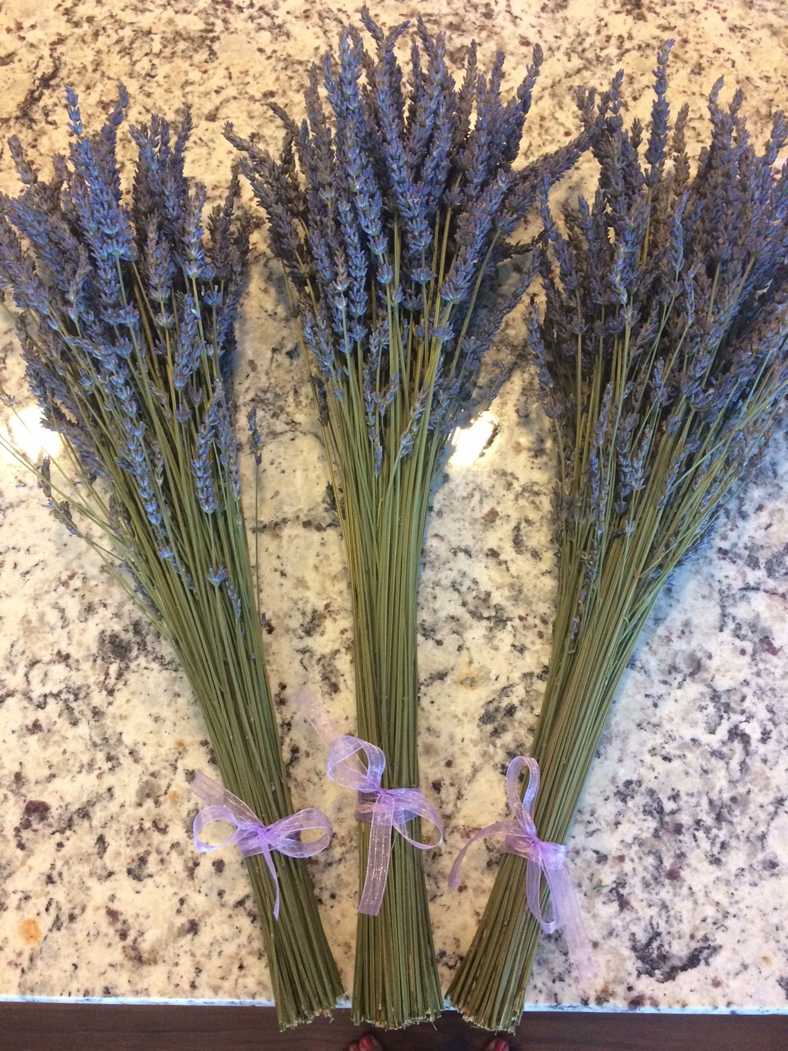 Dried Lavender Bundle 100120 stems Grosso Dutch Mill Etsy
