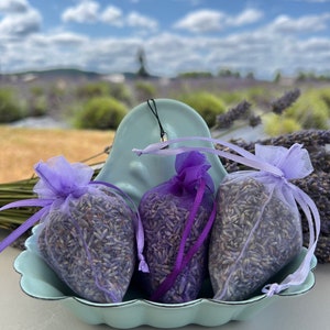Lavendelzakjes (set van 10): Pacific Northwest gedroogde lavendel, trouwbedankjes