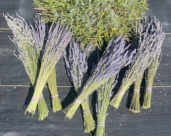 Dried Lavender Field Bundle- (14-18”) 100-130 stems, Grosso, Dutch Mill, Hidcote Giant, lavender bouquet