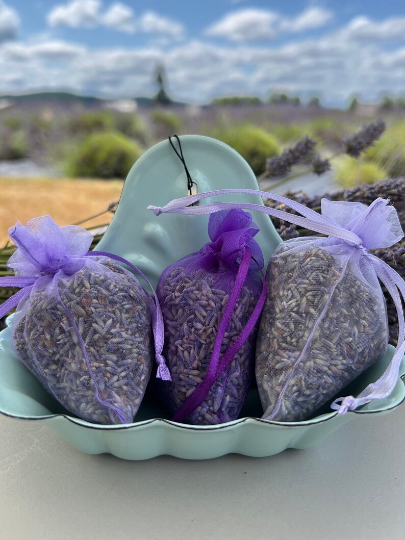 May include: Three lavender-filled sachets in a light blue ceramic bowl. The sachets are made of sheer purple fabric with purple ribbon ties. The bowl has a scalloped edge.