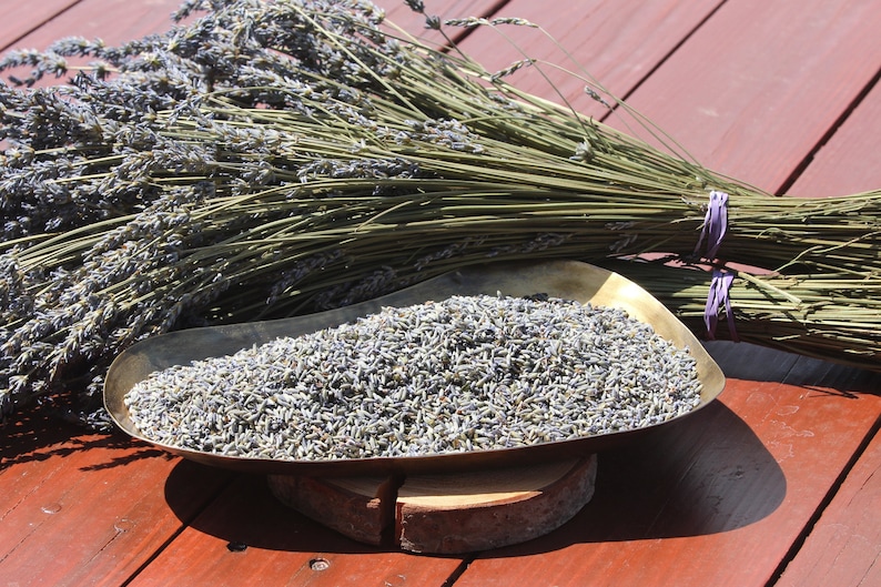 Bulk Dried Lavender Buds 4 Oz 8 Oz 16 Oz 1 Lb. Very Highly Etsy