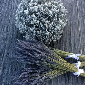 May include: Two bundles of dried lavender flowers, one with purple blooms and the other with gray-green foliage, arranged on a textured gray surface.