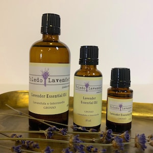 May include: Three amber glass bottles of lavender essential oil with black screw-top lids. The bottles are labeled "Toledo Lavender" and list the oil as "Lavender Essential Oil" with the Latin name "Lavandula x-Intermedia" and the variety "GROSSO". The bottles are arranged in descending size order from left to right. The bottles are sitting on a gold-colored surface with dried lavender flowers.