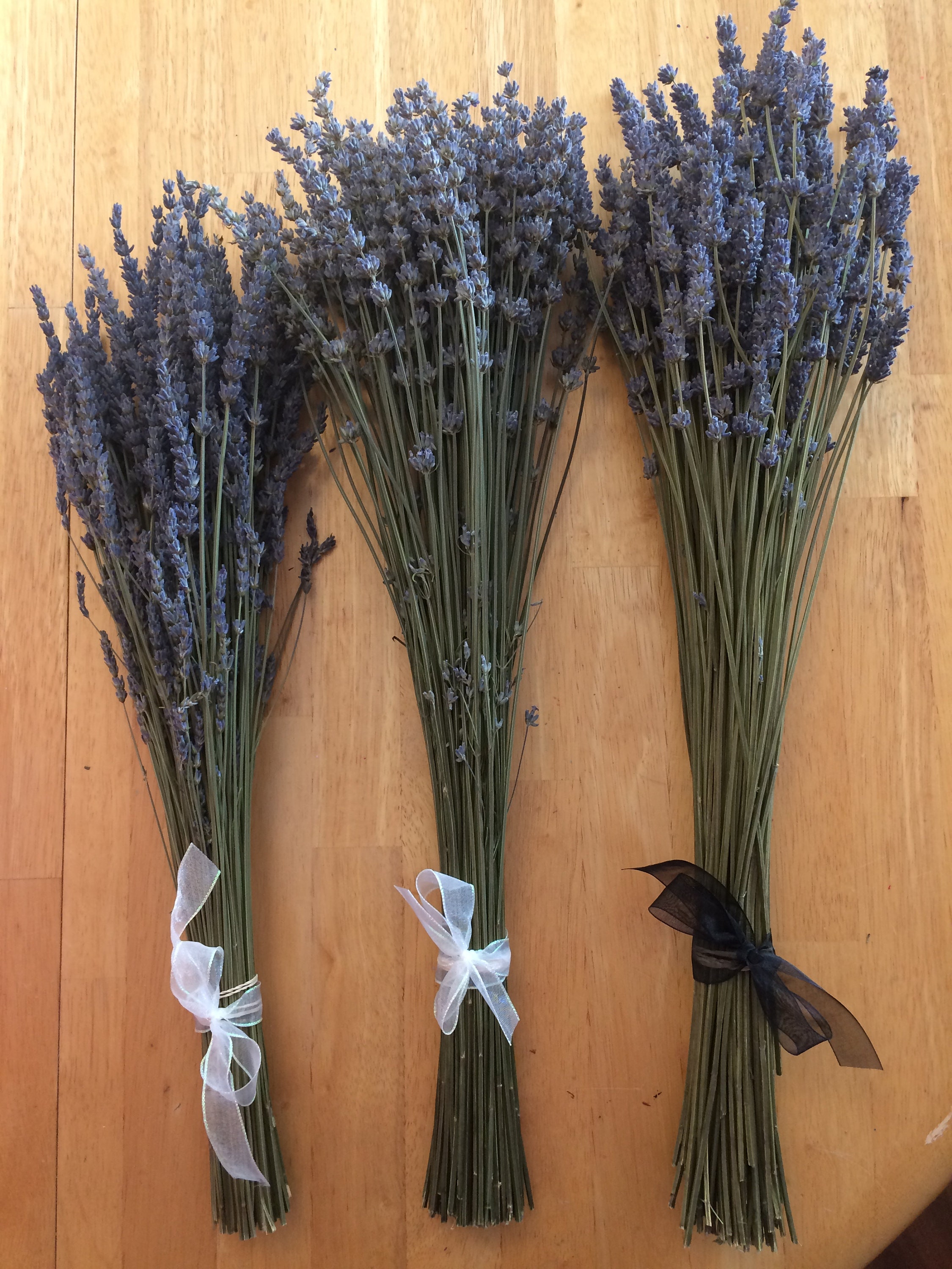 10 Dried Lavender bundles Free ship 100120 stems dried Etsy