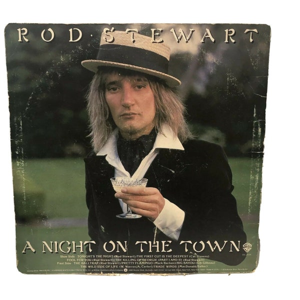 Rod Stewart A Night On The Town Warner Bros Record 1976 LP Vintage Vinyl 33RPM 12in BS2938