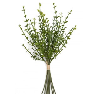 May include: A bunch of green artificial greenery stems tied together with twine. The stems are long and slender with small green leaves.