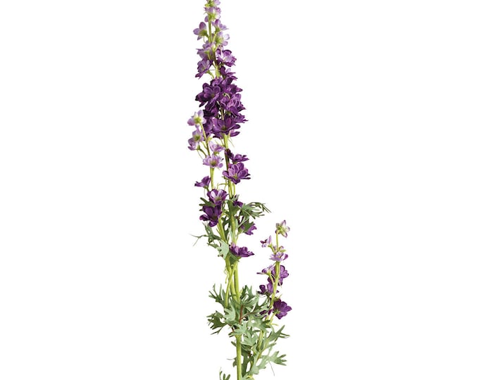Faux Purple Delphinium Stems, 33"
