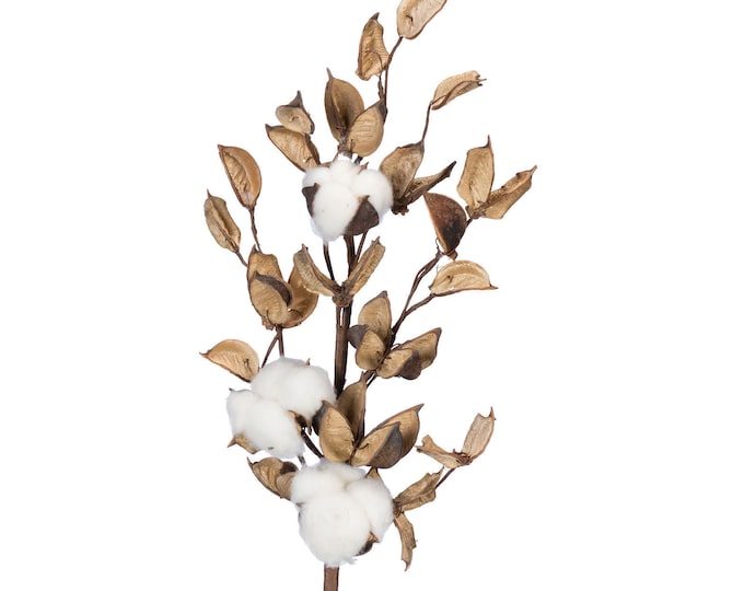 19" Cotton Spray/Stem/Pick with Cotton and Pods-Rustic Decor-Natural Decor-Farmhouse Decor-Vase Filler-Wreath Supply-Floral Supply