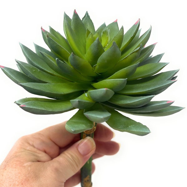 8" Artificial Succulent Pick/Stem/Flower-Faux/Fake Succulent in Green-Sedum Succulent-Floral Supply