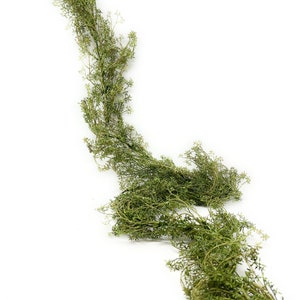 6 FT Artificial Greenery Garland-Farmhouse Decor-Year Round Evergreen Garland-DIY Floral Supply for Mantel, Stairs, Door, Entryway