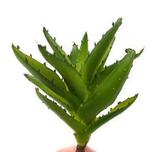 10" Fake Cactus Stem-Faux Cactus Pick-Artificial Plant-Tropical Agave-Aloe-Cactus Decor-Faux Succulent Fake Succulent-Floral Supply