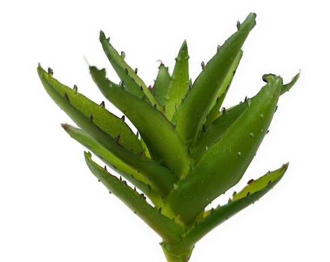 10" Fake Cactus Stem-Faux Cactus Pick-Artificial Plant-Tropical Agave-Aloe-Cactus Decor-Faux Succulent Fake Succulent-Floral Supply