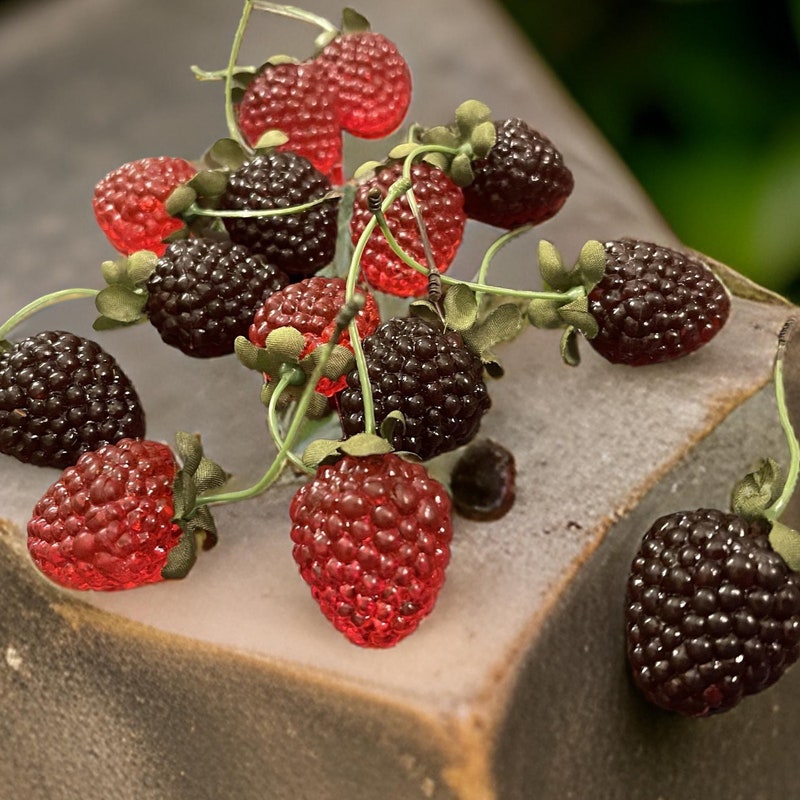 Raspberry Decor - Etsy