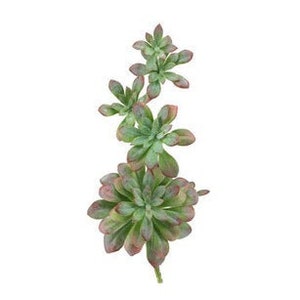 Artificial Cascading Sedum Succulent Flower in Green/Burgundy-Faux Succulent-Fake Succulent-Succulent Pick-Floral Supply