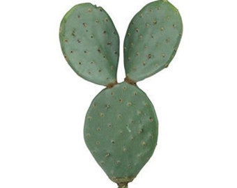 12" Faux Cactus, Pad Cactus, Prickly Pear Cactus, Cactus Decor, Faux Succulent, Floral Supply