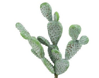 9" Artificial Cactus Stem/Pick/Plant-Fake Cactus-Faux Cactus-Cactus Decor-Faux Succulent-Fake Succulent-Succulent Pick-Floral Supply