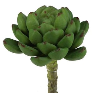 5" Artificial Sedum Succulent Flower in 2 Tone Light Green-Faux Succulent-Fake Succulent-Succulent Pick-Floral Supply