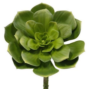 7.5" Large Artificial Succulent Pick/Stem/Flower-Faux/Fake Succulent in Green-Succulent Decor-Floral Supply