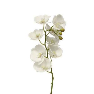 29"L Artificial Real Touch Phalaenopsis Orchid Stem-White-Faux Orchid Flower-Flower Stems-Tropical Flower-Floral Supplies-Floral Arranging