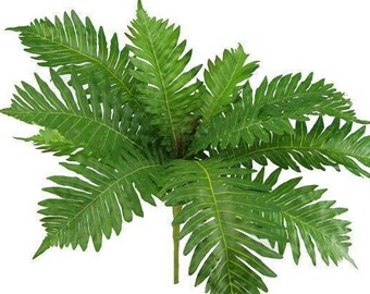 24 Boston Fern Planta Artificial Greenery Colgante Etsy