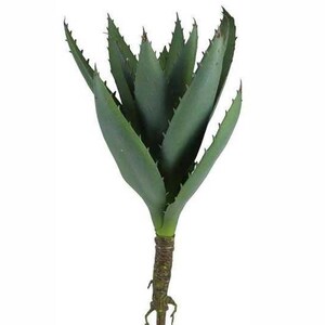 Fake Aloe - Etsy
