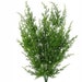 see more listings in the Christmas Stems + Sprays section